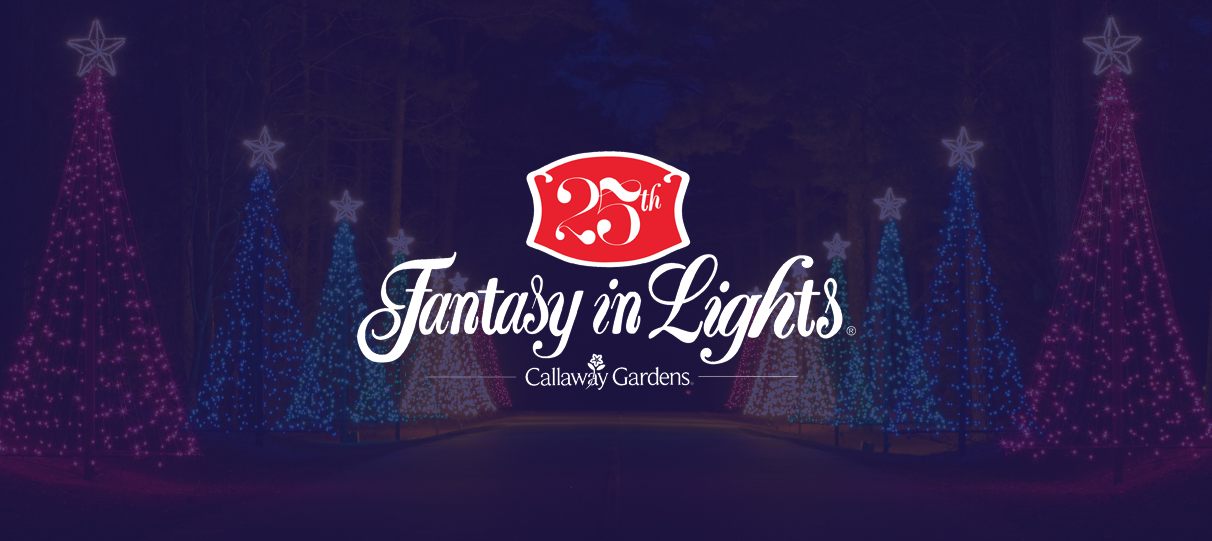 Event Spotlight: Fantasy in Lights