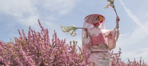 Event Spotlight: Sakura Matsuri at Brooklyn Botanic Garden